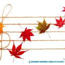 첼로 1:1 맞춤레슨 이미지