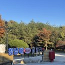 청남대사우나 | 청주 근교 온수풀 독채펜션 청남대스테이풀빌라 친구들과 방문후기