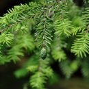 경보한의원 이미지