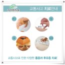 공룡한의원 이미지