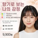 웰씨코리아 이미지