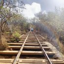 구정회가든 이미지