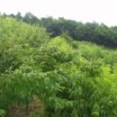 영분농장 이미지