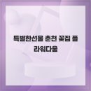 꽃집총각 | 특별한선물 춘천 꽃집 플라워다울