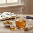 국화라이프 | 국화차효능 종류 국화꽃 성분 부작용