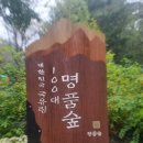 26년 10차 정기산행/ 남양주 광릉숲(3월 13일 금요일 8시) 이미지