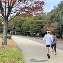 딱 100일간 &#34;이 운동&#34;하면 뱃살 빠지고 심혈관 건강 크게 좋아집니다 이미지