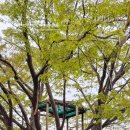 농부네텃밭민박 이미지