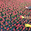 이영현농장 이미지