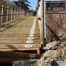 완월체육공원 이미지