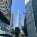 퍼스트피시카페 이미지