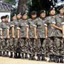 군인 Daum카페
