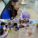 리프혁신국제학원 네이버블로그