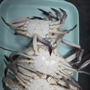 농수산물 도매시장 내 입구 경비실 | 천안 농수산물도매시장 후기 | 대하·꽃게 구입부터 집밥 먹방까지 총정리(주말은 기억에 남는 하루가...