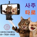 하모니여행사주