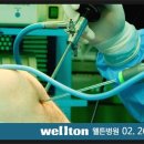 은십자