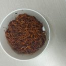 선랑태권도 이미지