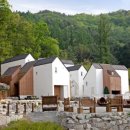 비요르크 이미지