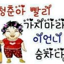 면요일 네이버블로그