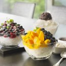 인이스테이 이미지