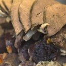 방이역1번출구(앞) 이미지