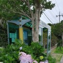 동광리-5 이미지