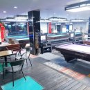 쫑생쫑사 이미지