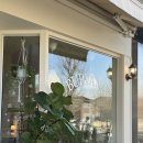 사파동198 | 창원 사파동 카페 베르바나