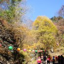 아침향기 이미지