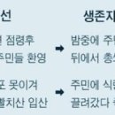 미화여관 이미지