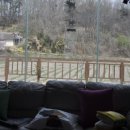 그림책 꽃밭 이미지