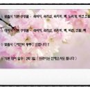 홍실주단 이미지