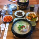 동백삼계탕 Daum카페