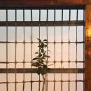 슈프림당구장 이미지