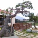 강변식당 이미지