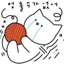 발리마린키즈 이미지