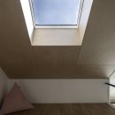 호미양양 이미지