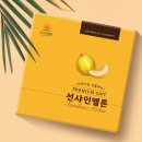 햇살디자인 이미지