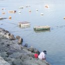 삼천포팔포 이미지