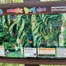 원주굽이길 16코스 매지순환둘레길 | 원주 매지순환둘레길: 흥업면의 자연을 품은 힐링 산책로
