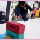 경희대 KTIGERS 태권도 이미지