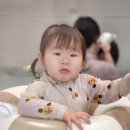타이니풀 워터룸 버블룸