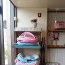 강릉애견하우스 이미지