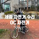고운동_고운중학교 | 세종 고운동 OC자전거 더블린 미니벨로 자전거 수리 후기