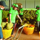 녹색자원 이미지