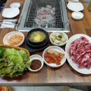 명품민물장어&양꼬치