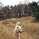 자룡농장 이미지