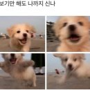 늘해랑 태권도 이미지