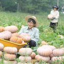 참샘골농장 이미지