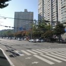 사파동176 이미지